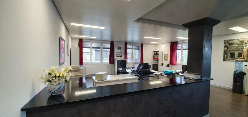 Gewerbe 1 Zimmer in Lausanne — photo 4