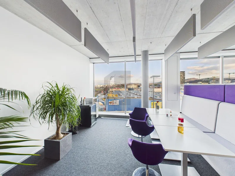 Commercial 1 rooms in Pratteln — 3