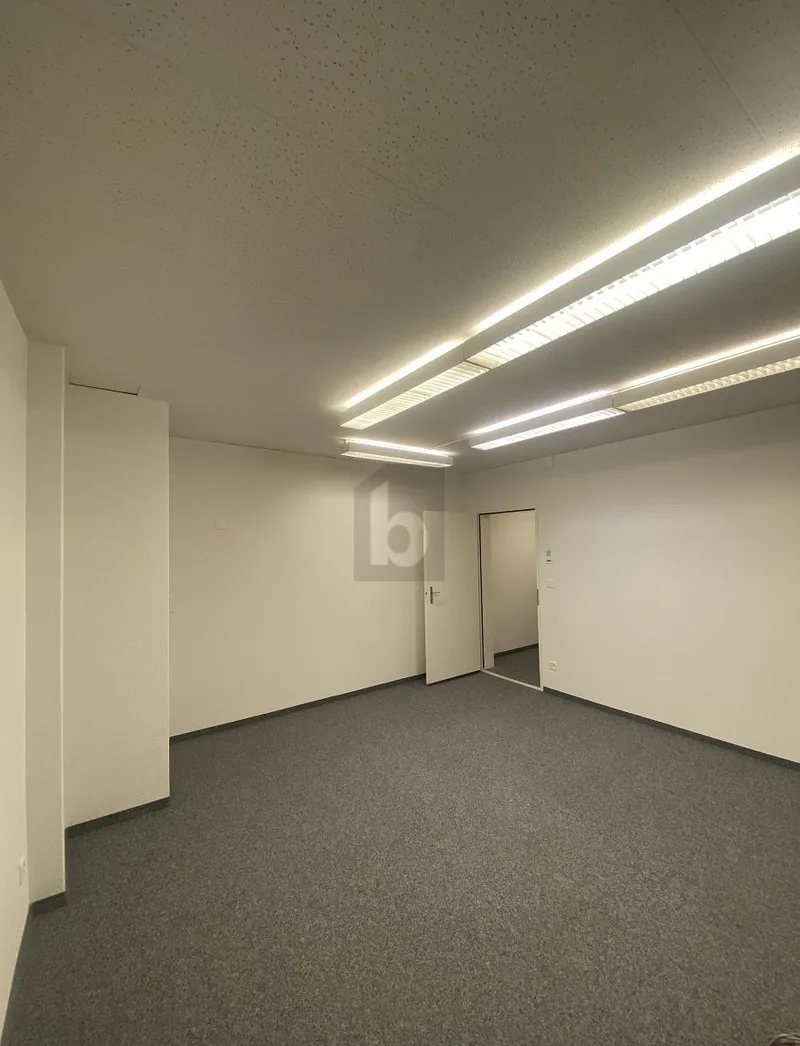 Gewerbe 1 Zimmer in Winterthur