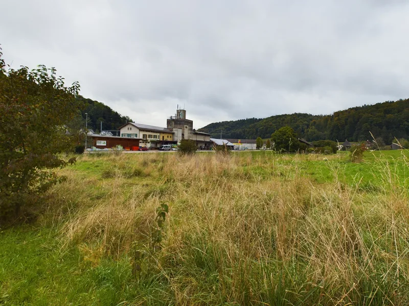 Terrain à Seeberg — photo 4