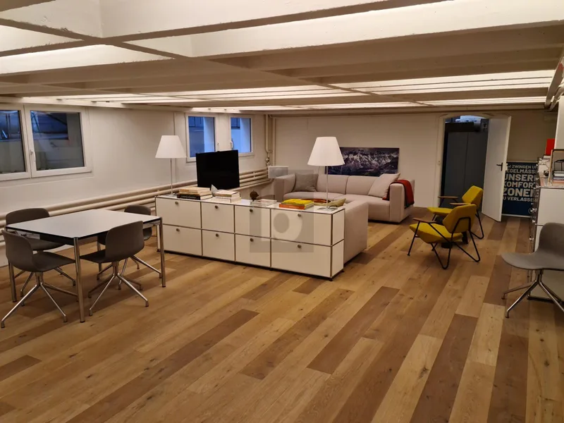 Gewerbe 15 Zimmer in Basel — photo 2