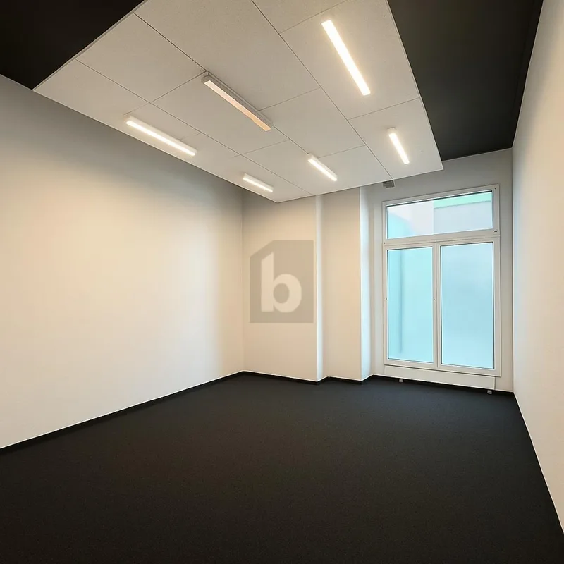 Commercial 5 rooms in Bussigny — 3