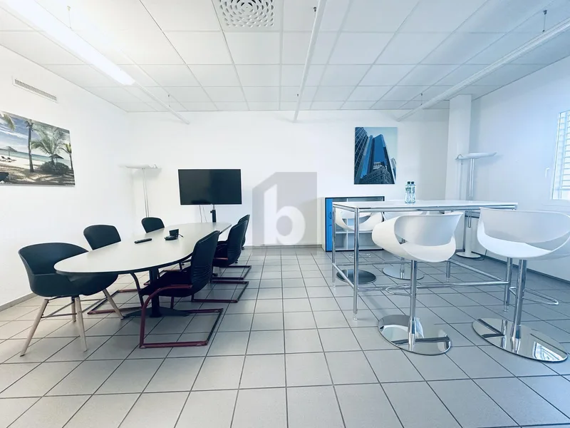 Gewerbe 1 Zimmer in Suhr