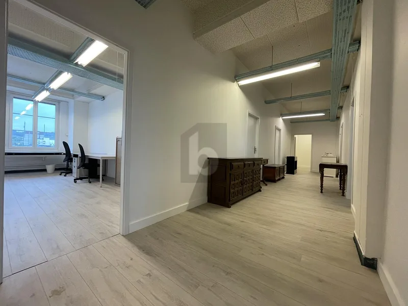 Commercial 10 rooms in Däniken — 3