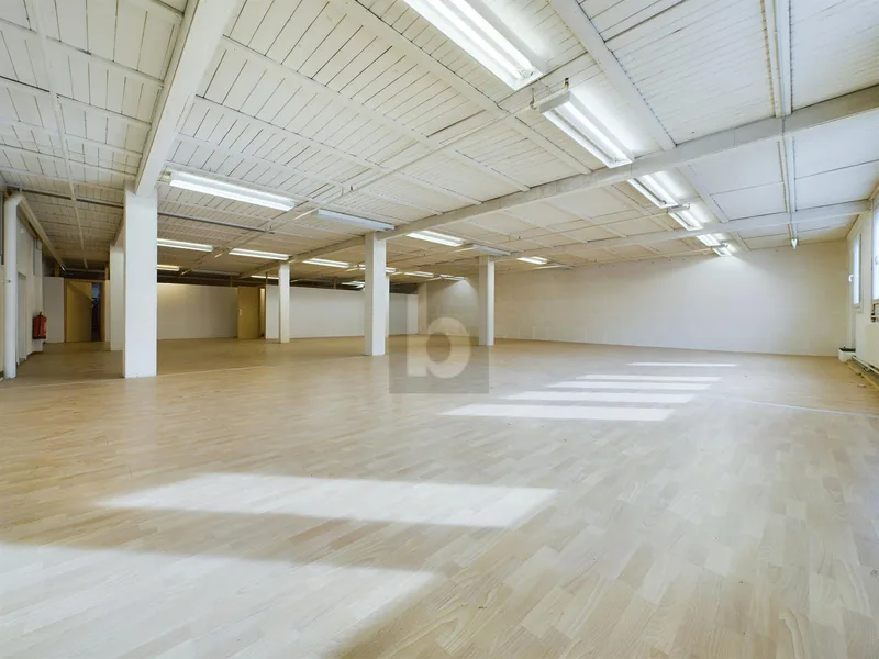 Gewerbe 2 Zimmer in Kirchberg — photo 3