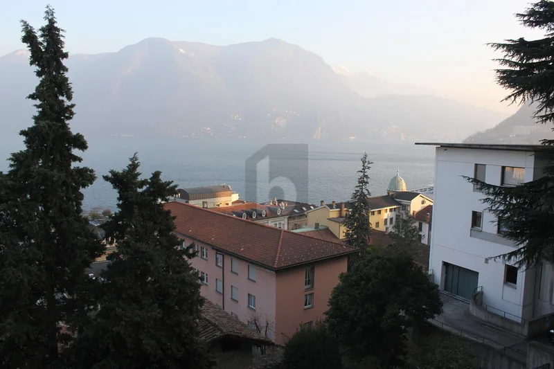 Commercial 2.5 rooms in Paradiso
