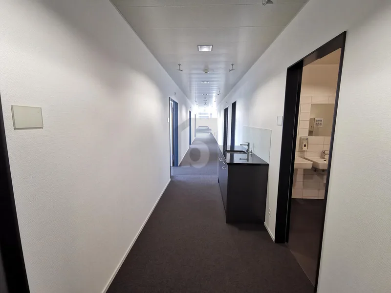Commercial 1 rooms in Pratteln — 4