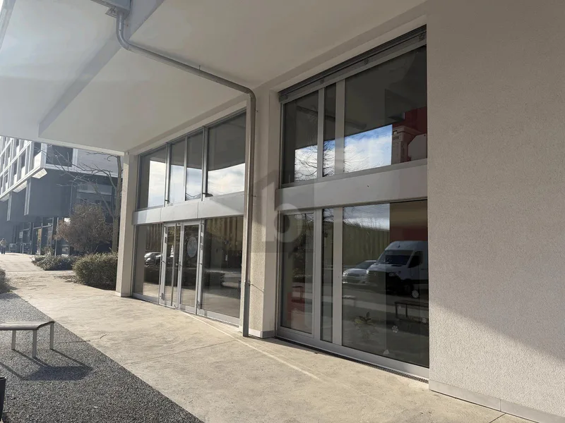 Gewerbe 5.5 Zimmer in Nyon