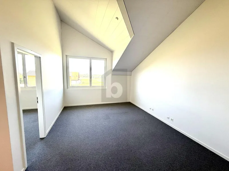 Gewerbe 4 Zimmer in Etagnières — photo 2