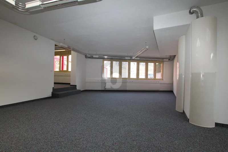 Gewerbe 3 Zimmer in Zwingen