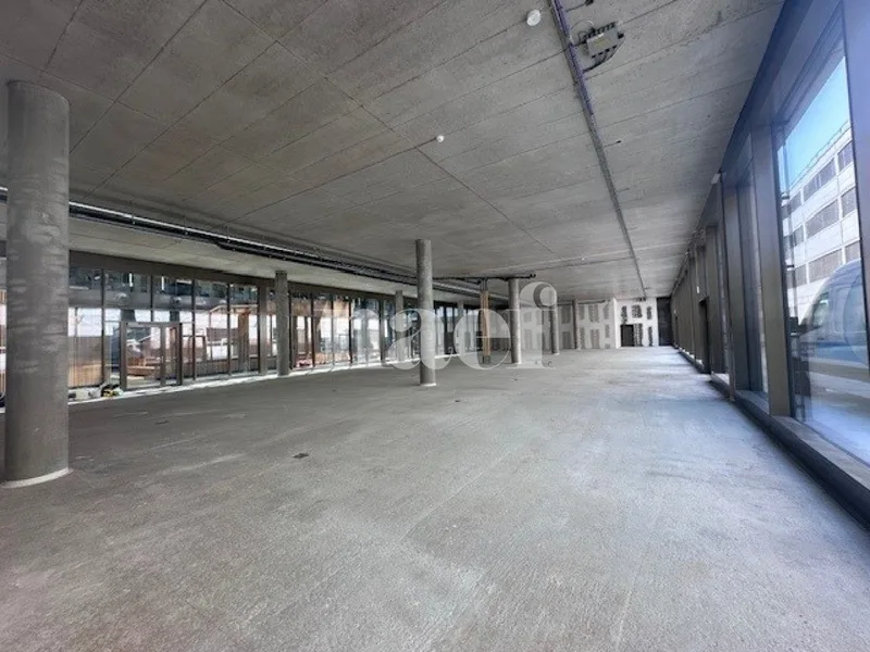 Commercial in Plan-les-Ouates — 3