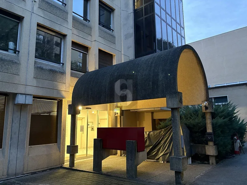 Gewerbe 1 Zimmer in Carouge — photo 4