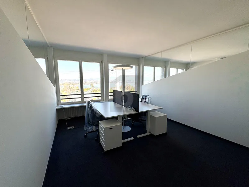 Gewerbe 1 Zimmer in Freienbach — photo 2