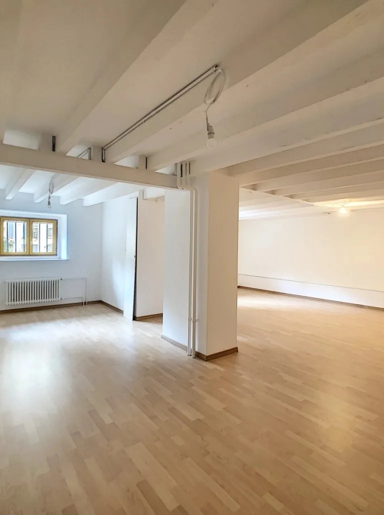 Commercial 2 rooms in Genève — 4