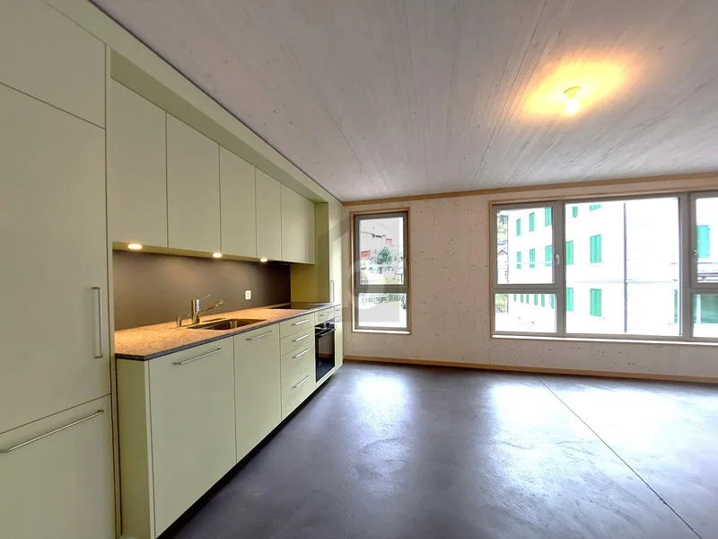 Wohnung 3.5 Zimmer in Zentral