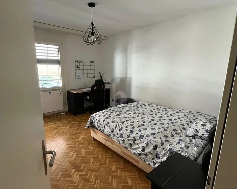 Wohnung 6 Zimmer in Carouge — photo 3