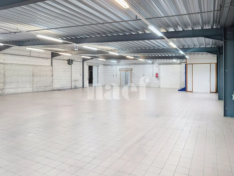 Commercial in Treycovagnes — 3