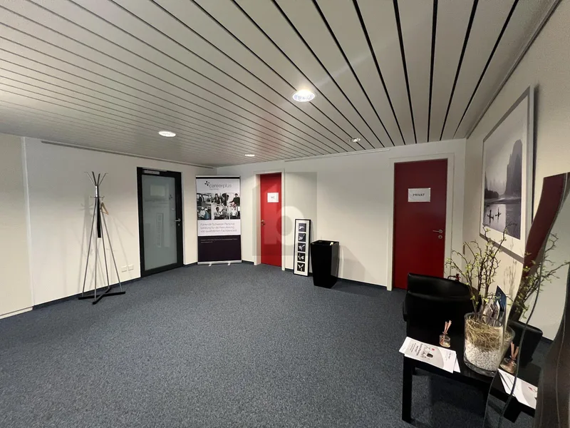 Gewerbe 5 Zimmer in Olten — photo 5