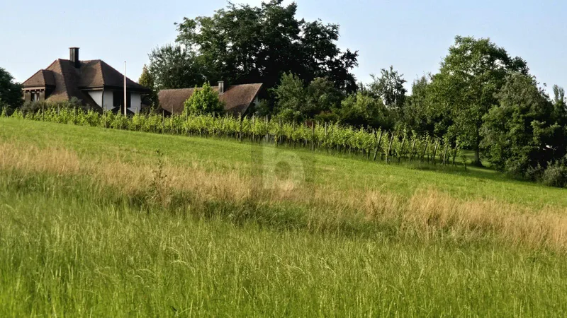 Autre 1 pièces à Schaffhausen — photo 4
