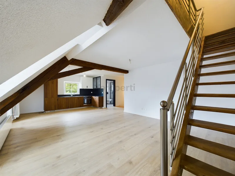 Maison / Villa 10.5 pièces à Waldenburg — photo 3