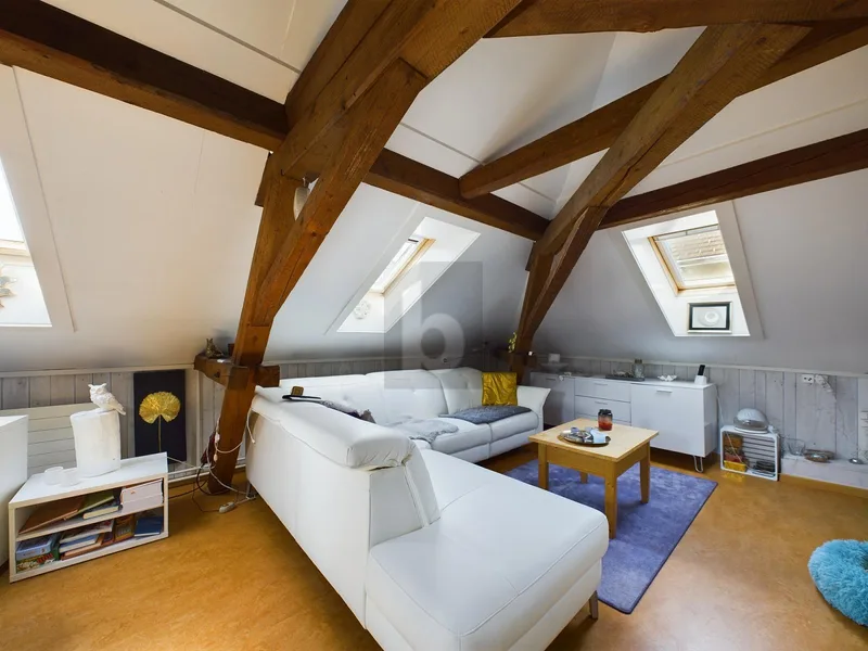 Haus / Villa 12.5 Zimmer in Herisau — 3