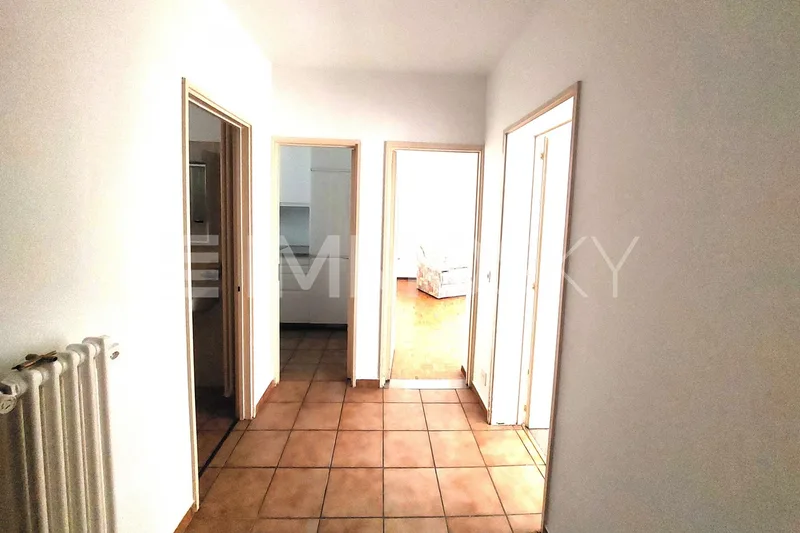 Appartement 2.5 pièces à Agno — 2