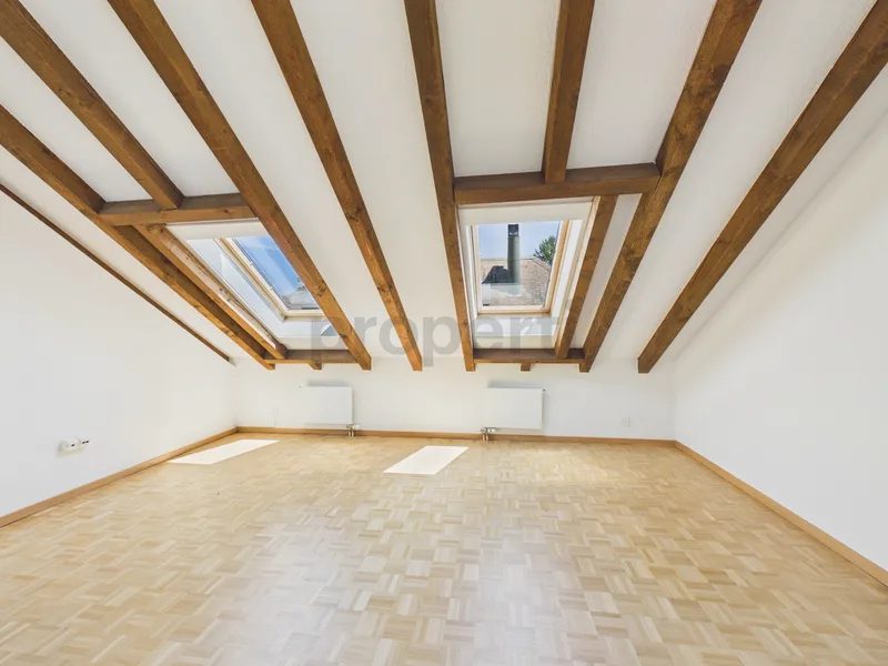 Apartment 5.5 rooms in Seebach — 5