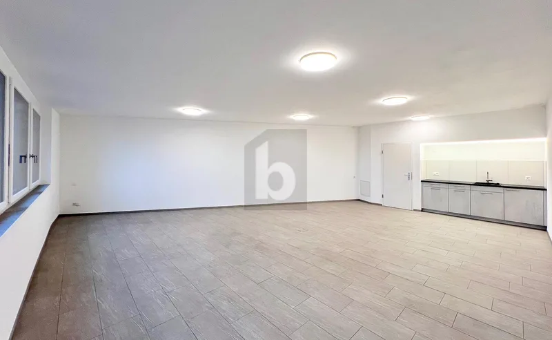 Gewerbe 1 Zimmer in Buchs