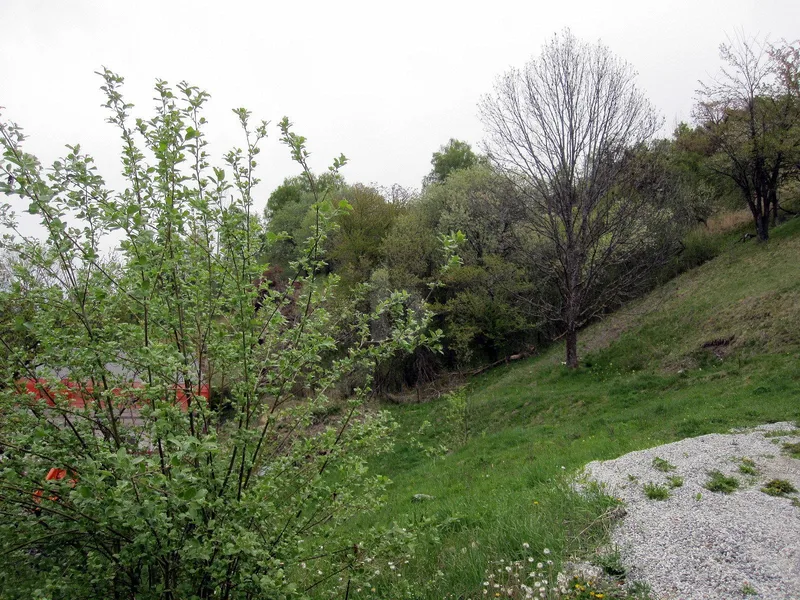 Land in Sion — 4