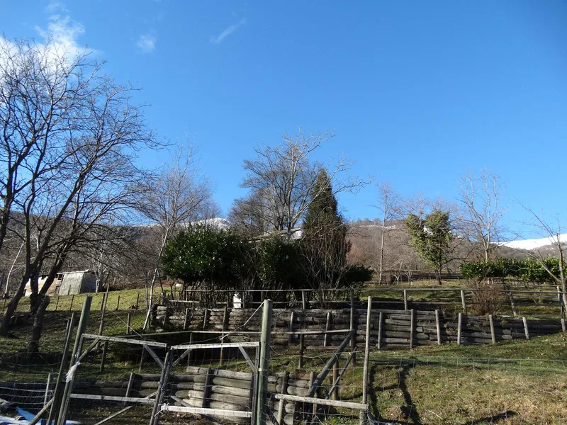 Land in Miglieglia — photo 2