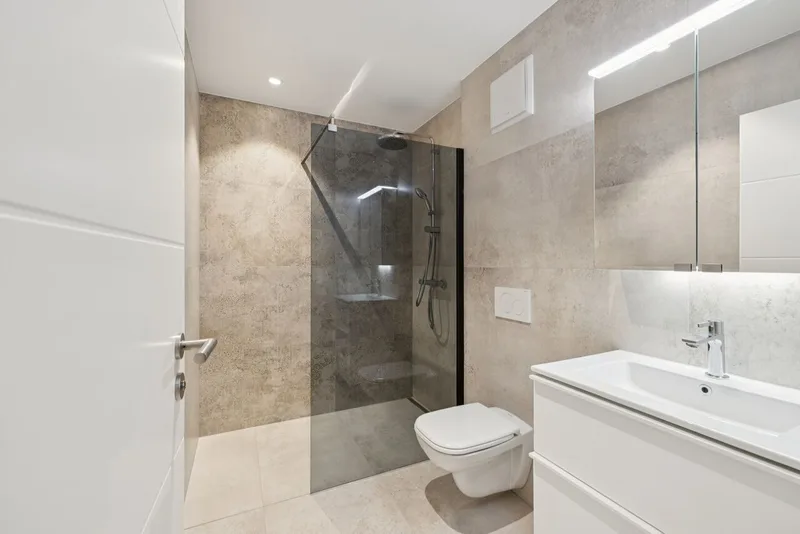 New development 5.5 rooms in Orny — 18