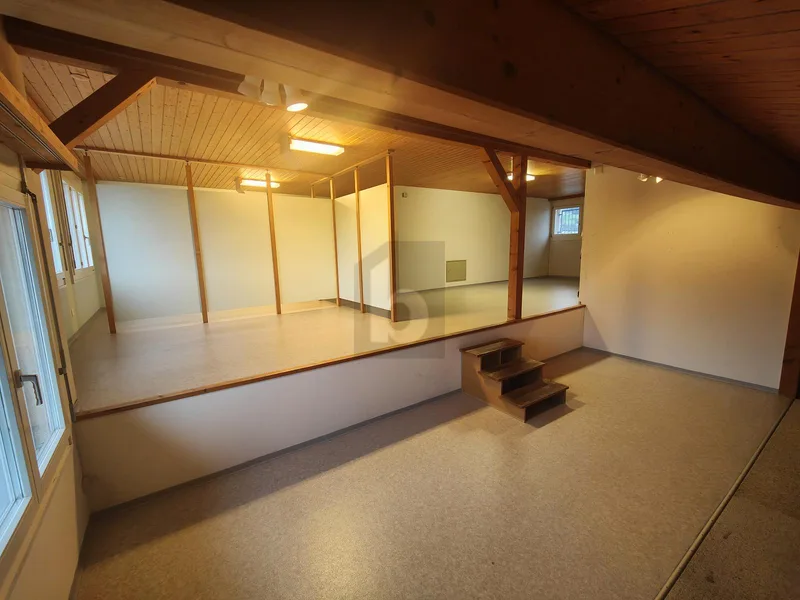 Gewerbe 1 Zimmer in Altstätten
