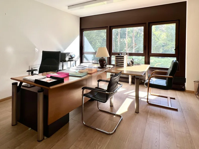Gewerbe 1 Zimmer in Champel