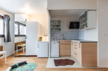 Wohnung 1.5 Zimmer in Vionnaz — photo 4
