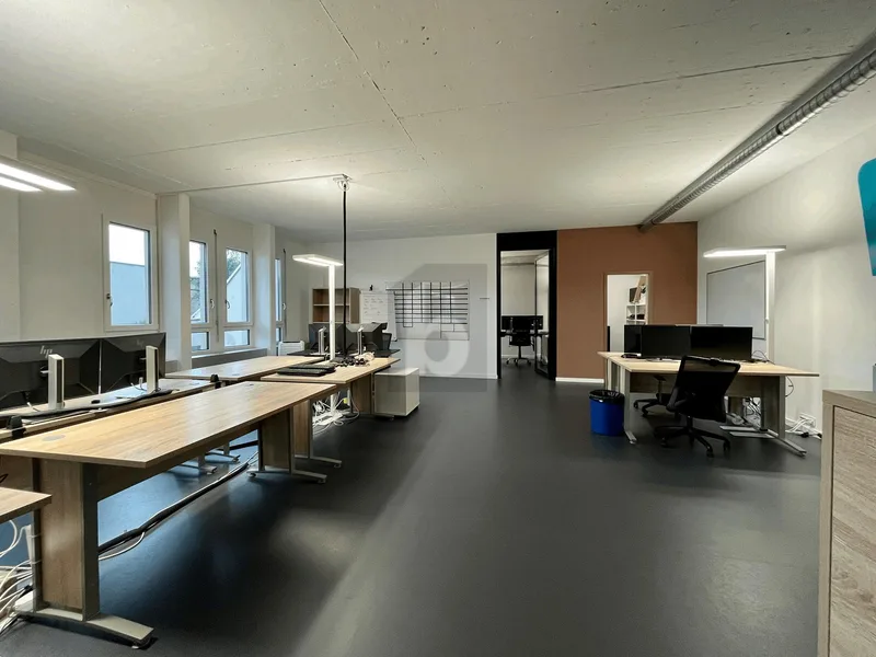 Commercial 3.5 rooms in Dietikon — 4