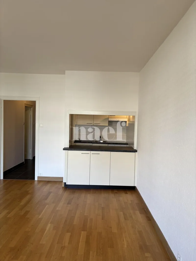 Wohnung 1.5 Zimmer in Genève — photo 2