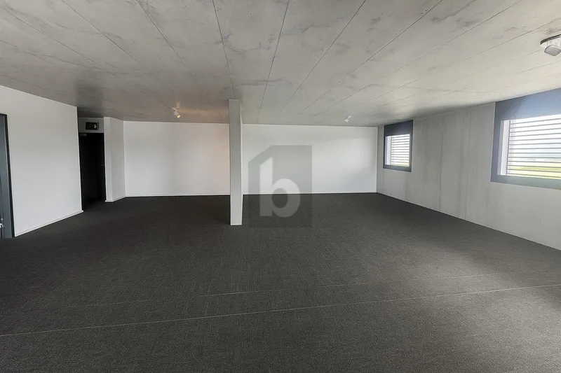 Gewerbe 2 Zimmer in Gruyère — photo 3