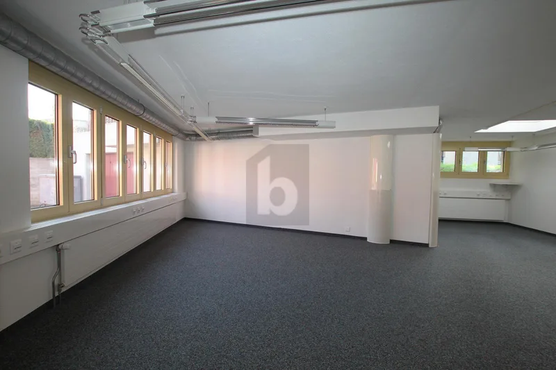Gewerbe 3 Zimmer in Zwingen — photo 2