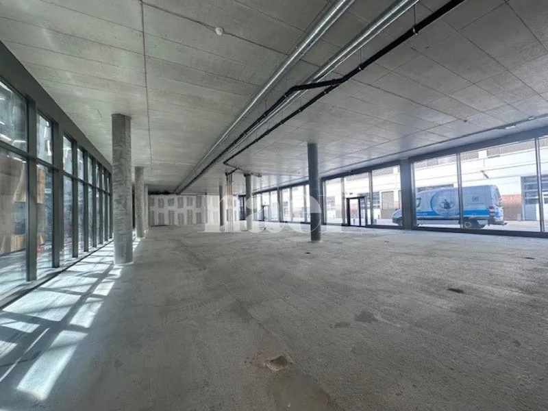 Commercial in Plan-les-Ouates — 4