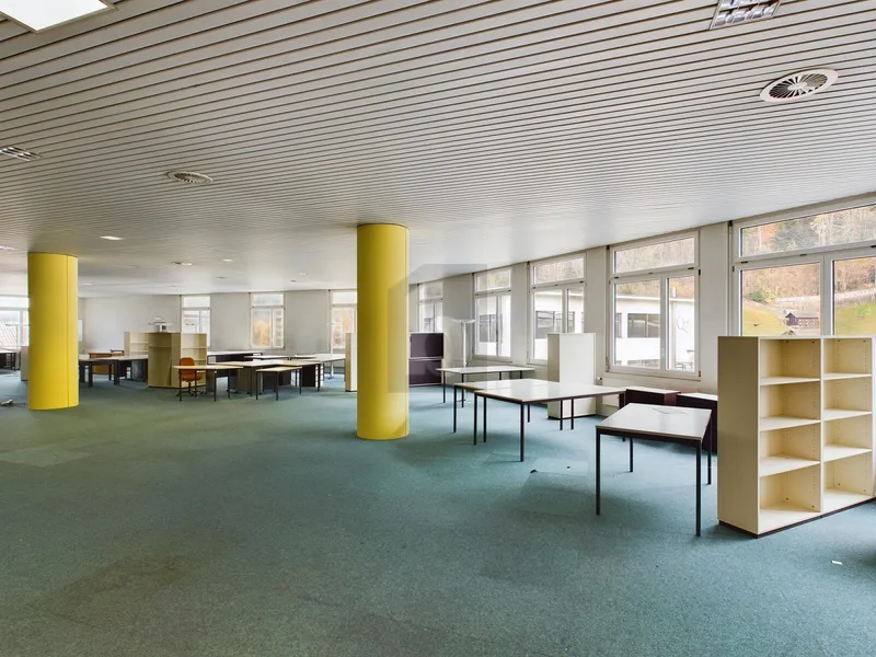 Gewerbe in Dätwyler Areal