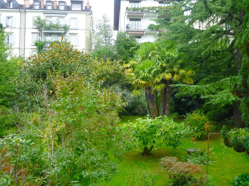 Apartment 3.5 rooms in Lausanne — 5