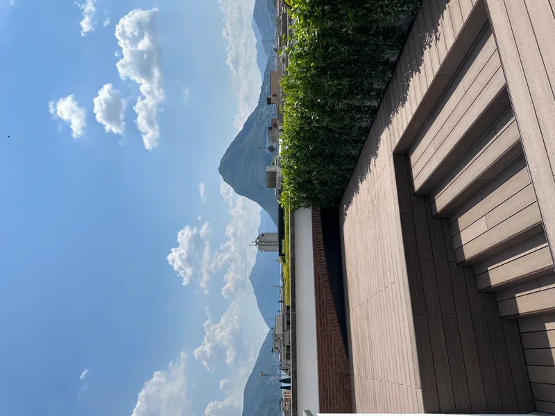 Appartement 8.5 pièces à Viganello — 9