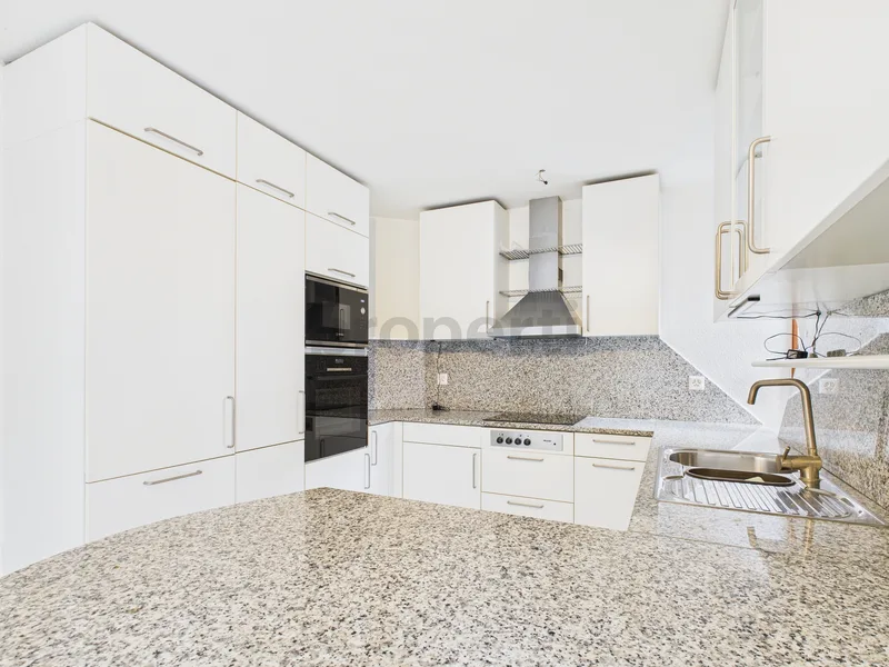 Maison / Villa 8.5 pièces à Würenlingen — photo 2