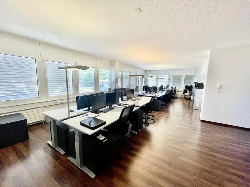 Gewerbe 5 Zimmer in Echandens — photo 3