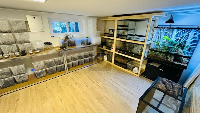 Haus / Villa 7 Zimmer in Buchs — photo 2