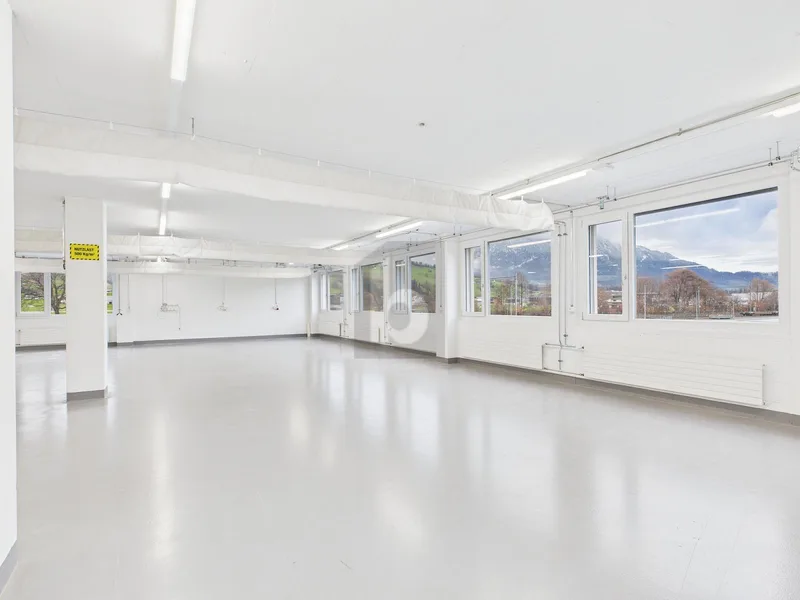 Gewerbe 1 Zimmer in Sarnen — photo 3