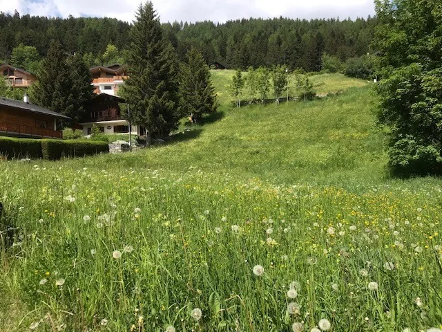 Terrain à Leytron