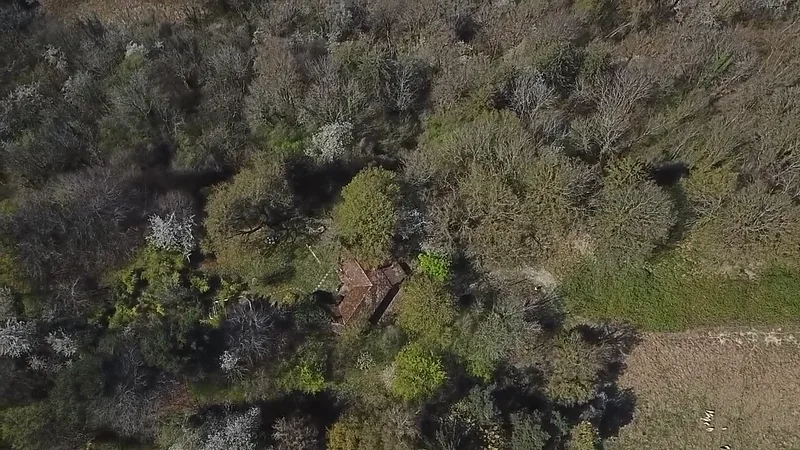 Terrain 4 pièces à Vully-les-Lacs — photo 7