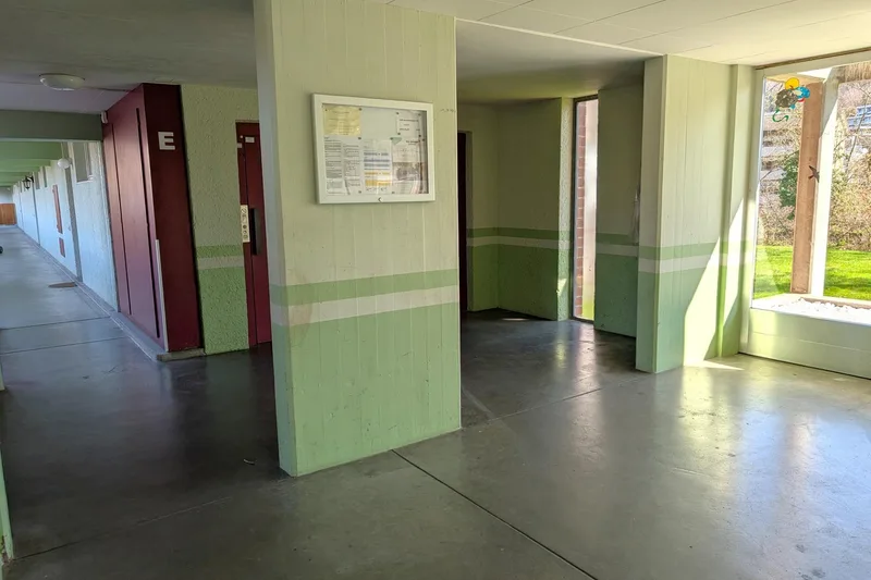 Wohnung 6 Zimmer in Weiermatt — photo 3
