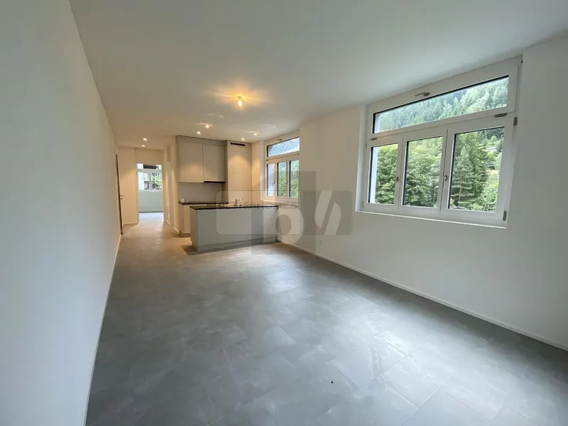 Appartement 2.5 pièces à Gurtnellen